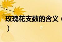 玫瑰花支数的含义（玫瑰花支数的含义有哪些）