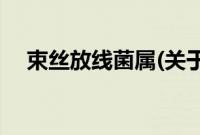 束丝放线菌属(关于束丝放线菌属的简介)
