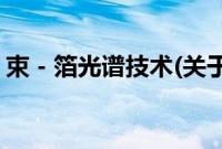 束－箔光谱技术(关于束－箔光谱技术的简介)