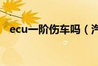 ecu一阶伤车吗(汽车刷一阶程序多少钱)