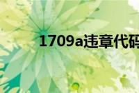 1709a违章代码（1706违章代码）