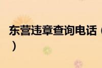 东营违章查询电话（东营市辖区交通违章查询）