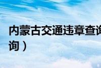 内蒙古交通违章查询官网（内蒙古交通违章查询）