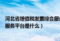 河北省增值税发票综合服务平台（河北省交通管理局互联网服务平台是什么）