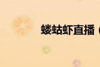 蝼蛄虾直播（蝼蛄虾怎么抓）