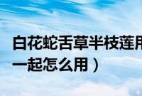 白花蛇舌草半枝莲用法（半枝莲和白花蛇舌草一起怎么用）