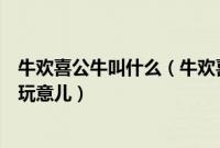 牛欢喜公牛叫什么（牛欢喜是牛的什么器官就是母牛的那种玩意儿）