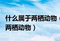 什么属于两栖动物（什么是两栖动物为什么叫两栖动物）