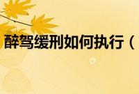 醉驾缓刑如何执行（醉驾判缓刑的几率大吗）