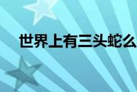 世界上有三头蛇么（世界上有三头蛇吗）