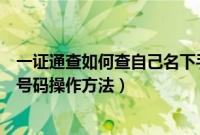 一证通查如何查自己名下手机号码（一证通查自己名下手机号码操作方法）