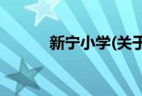 新宁小学(关于新宁小学的简介)