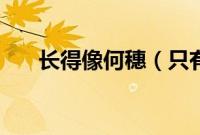 长得像何穗（只有我觉得何穗很丑吗）
