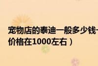 宠物店的泰迪一般多少钱一只（泰迪狗多少钱一只宠物店的价格在1000左右）