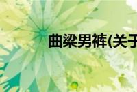 曲梁男裤(关于曲梁男裤的简介)