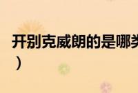 开别克威朗的是哪类人（为什么买威朗的人少）