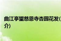 曲江亭望慈恩寺杏园花发(关于曲江亭望慈恩寺杏园花发的简介)