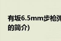 有坂6.5mm步枪弹(关于有坂6.5mm步枪弹的简介)