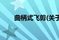 曲柄式飞剪(关于曲柄式飞剪的简介)