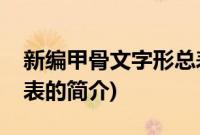 新编甲骨文字形总表(关于新编甲骨文字形总表的简介)