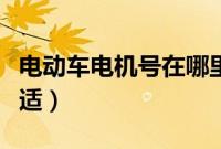 电动车电机号在哪里看(电动车电机多少瓦合适)