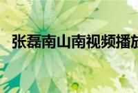 张磊南山南视频播放（张磊南山南第几期）