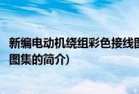 新编电动机绕组彩色接线图集(关于新编电动机绕组彩色接线图集的简介)