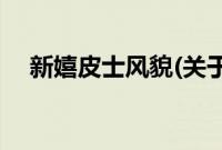 新嬉皮士风貌(关于新嬉皮士风貌的简介)