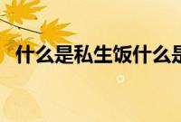 什么是私生饭什么是爱豆（什么是私生饭）
