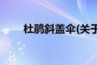 杜鹃斜盖伞(关于杜鹃斜盖伞的简介)