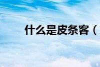 什么是皮条客（皮条客是什么意思）