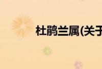 杜鹃兰属(关于杜鹃兰属的简介)