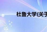 杜鲁大学(关于杜鲁大学的简介)