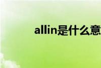 allin是什么意思（allin的解释）