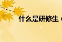 什么是研修生（研修生简单介绍）