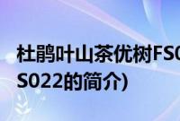 杜鹃叶山茶优树FS022(关于杜鹃叶山茶优树FS022的简介)