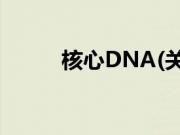 核心DNA(关于核心DNA的简介)