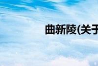 曲新陵(关于曲新陵的简介)
