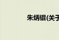 朱炳锟(关于朱炳锟的简介)