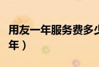 用友一年服务费多少钱（车联网服务费多少一年）