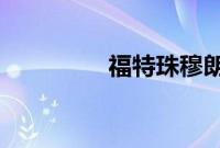 福特珠穆朗玛峰重新设计