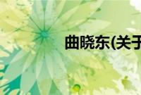 曲晓东(关于曲晓东的简介)