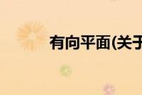 有向平面(关于有向平面的简介)