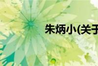 朱炳小(关于朱炳小的简介)