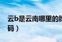 云b是云南哪里的牌照（云b是哪里的车牌号码）