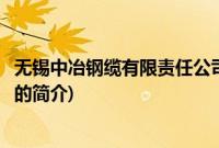 无锡中冶钢缆有限责任公司(关于无锡中冶钢缆有限责任公司的简介)