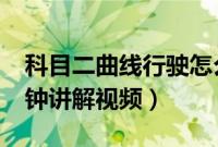 科目二曲线行驶怎么看点打方向（s弯道五分钟讲解视频）