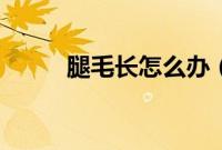 腿毛长怎么办（分享给大家参考）