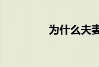 为什么夫妻在外遇后失败