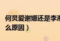 何炅爱谢娜还是李湘（何炅为谢娜打李湘是什么原因）